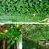 Slide image 982cdf2c1c5742e29880fd714cb0ccde