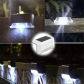 White Light-White