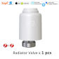 Valve x1pc