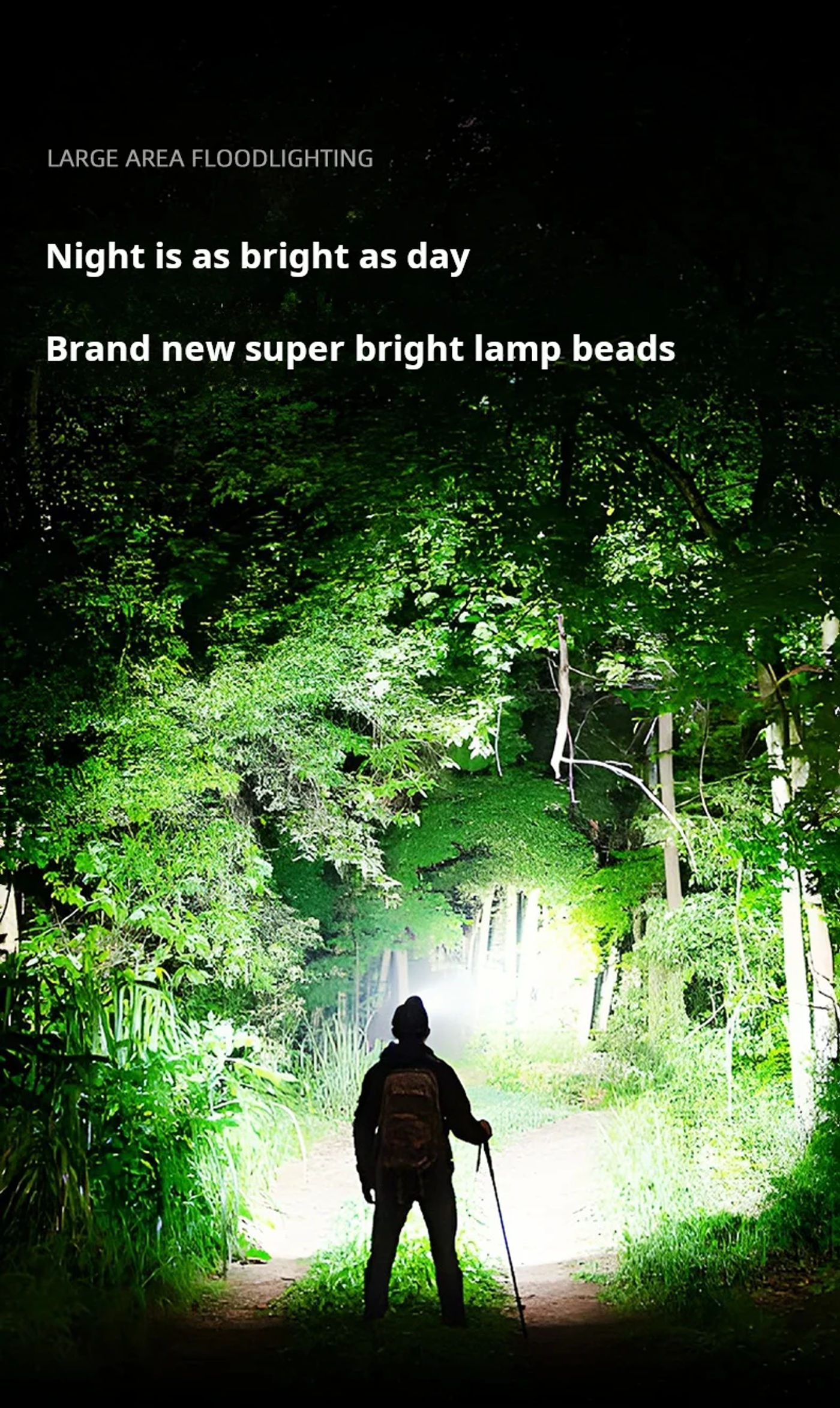 head_title lazy