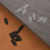 Slide image cdb484bb807f4c31b9d334eb804d7fac