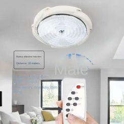 Solar Lights Indoor Home Top Ceiling Lamps House Outdoor Garden Pandent Light Panel Lamp Fixture for Corridor Garden Living Room