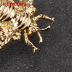 Slide image 6de85a6e0abc468c904eb49b3df72631