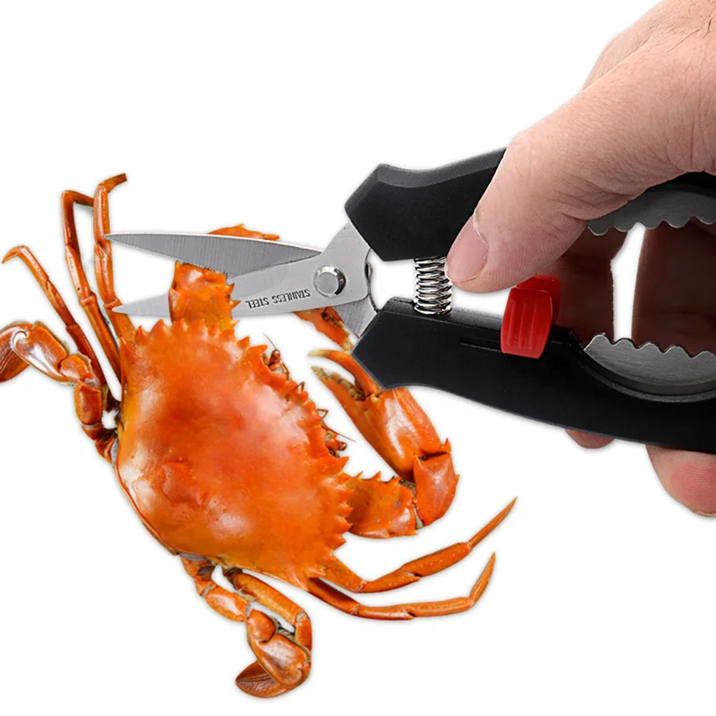 Slide 801c04b7e9e24967aae1345581dcc399