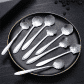 SIlver 8pcs