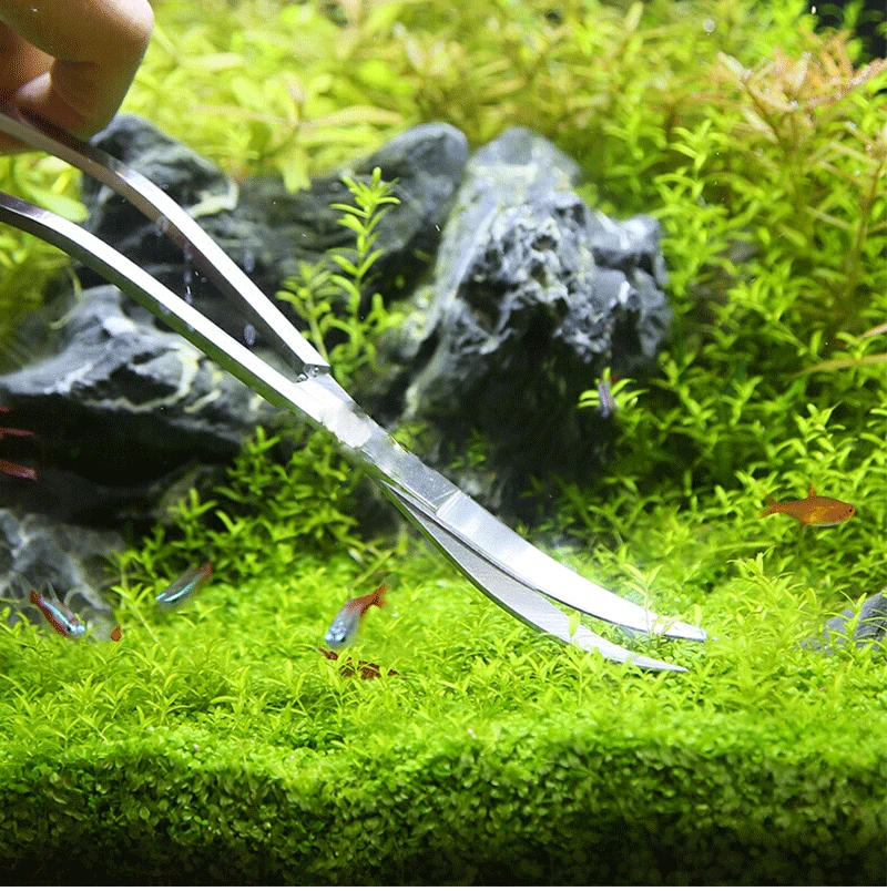Description Picture 2 of itemAquarium Tools Set Scissor Tweezers Plants Wave Scissors Grass Stainless Cleaning Tools Fish Tank Shovels Aquarium Accessories