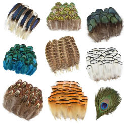 Natural Chicken Peacock Goose Pheasant Feather Small Dream Catcher Feathers for Crafts Handicraft Accessories Jewelry Decoration