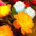 Slide image 14d51d99ee2a45f8bcab4274df57dfea