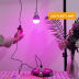Slide image 18ea488bd03d4a07b522c6fc9c3aedfd