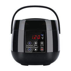 100W Professional Hair Removal Wax Heater SPA Hands Feet Epilator Depilatory Skin Care Paraffin Wax Machine