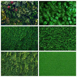 MOON.QG Green Leaves Grass Wall Photo Studio Backdrop Spring Greenery Leaf Photography Background Sign Birthday Party Back Drop