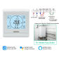 Water Gas Boiler