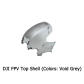 Gray Top Shell