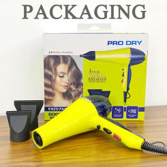 Professional 6000W Hair Dryer Anion Blowdryer for Salon High Speed Strong Wind 4 Gear Low Noise Lightweight Blower with 2 Nozzle