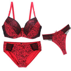 2024 New Sexy Bra Sets For Women 3 Piece Underwear Strap Transparent BCDEF Cup Female Beige Black Blue Purple Red White Lingerie