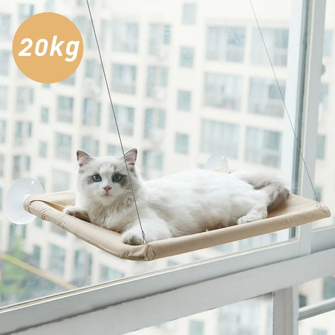 Slide c53e2987cca147a38a4e4c3b82353fba