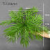 Slide image 04a8f72add894649a8c0350401be6fd0