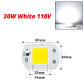 30W White 110V