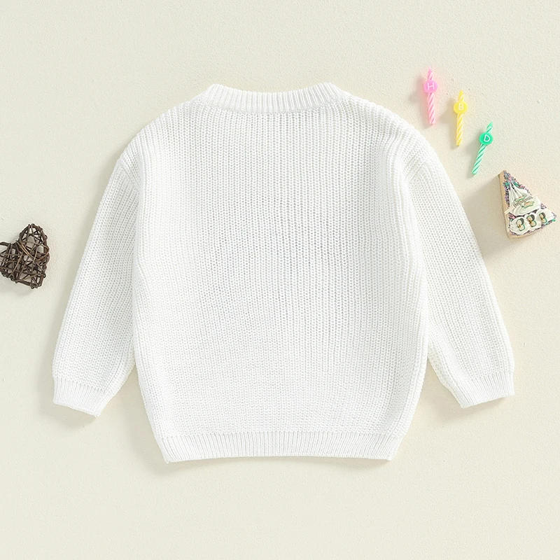 Description Picture 3 of itemBaby Girl Birthday Sweater Rainbow Embroidery Long Sleeve Pullover Crew Neck Tops for Fall Winter