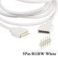 5PIN RGBW White