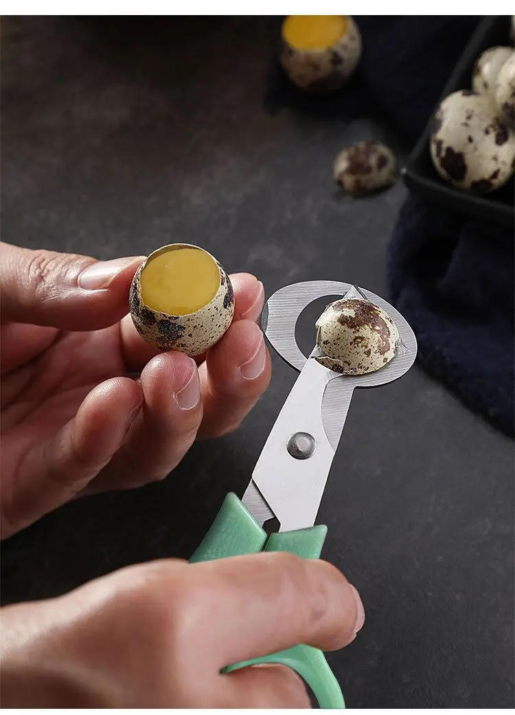 Description Picture 4 of item1pc Eggshell Cutting Scissors - For Quail and Bird Eggs - Easy to Use and Durable, for Egg Opening, Shell Cracking,Egg Splitting