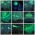 Slide image c5b69a1b59194cdfa994f95f36263b21
