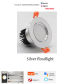 Silvery Floodlight