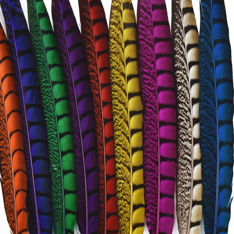 Description Picture 5 of itemLady Amherst Pheasant Feathers for Crafts 14-16" 35-40cm Colored Long Natural Feather Decor DIY Carnival Accessories Decoration