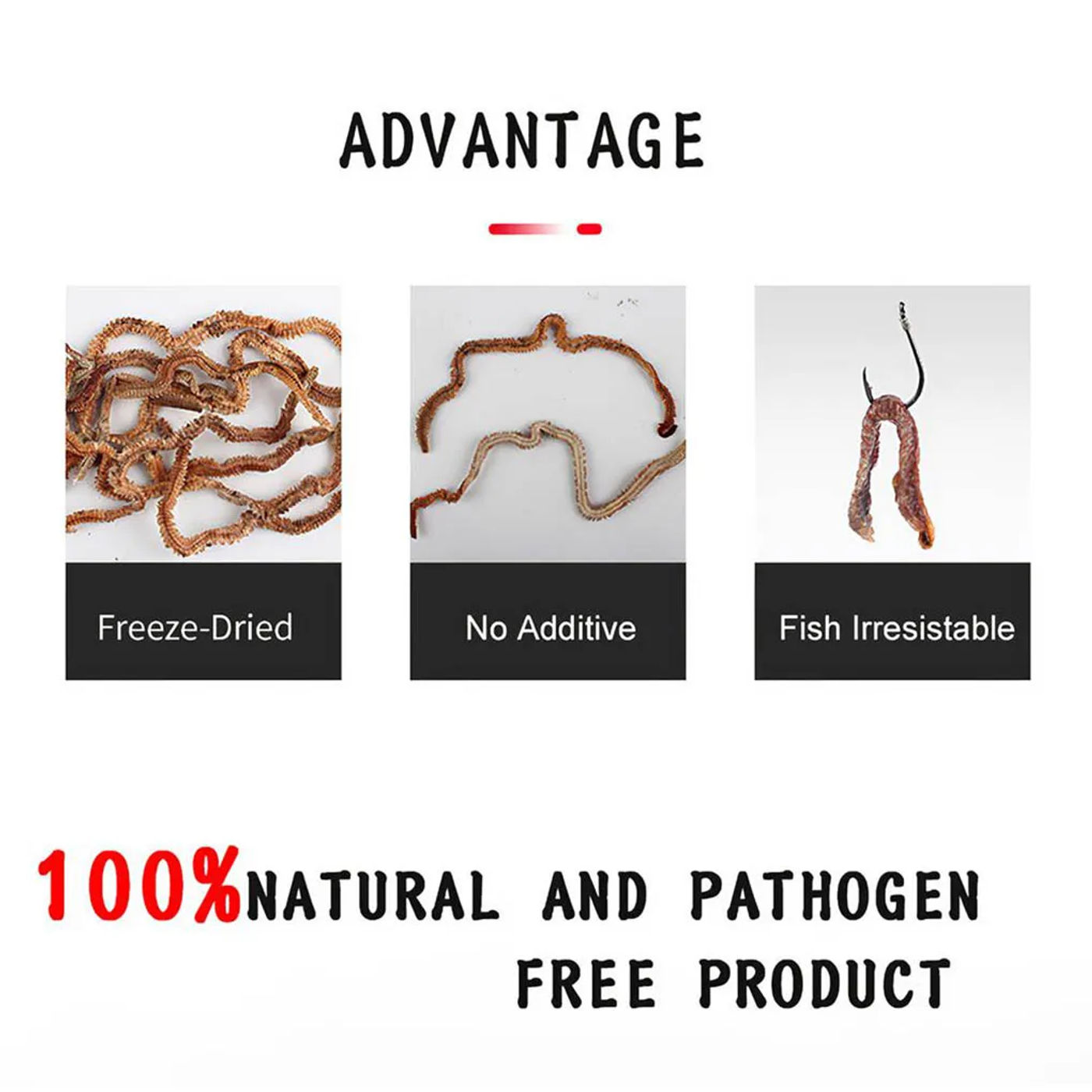 Description Picture 3 of item1 Bag 6-10g Natural Live Dry Sandworm Bait Freshwater Saltwater Rearing Catfish Fishy Smell Insect Soft Bait Natural Bait