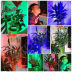 Slide image c9b2e59ad79241038349b8248f6a3f91