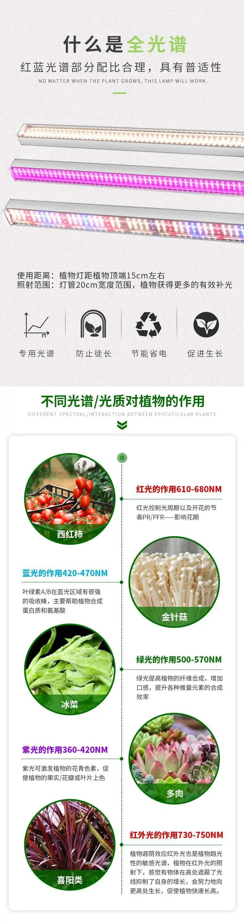 Description Picture 4 of itemNewest 1/2/4/6PCS Full Spectrum LED Growing Lights for Greenhouse Plants Veg Flowers Fill Light Soilless Cultivation Lamps Hot