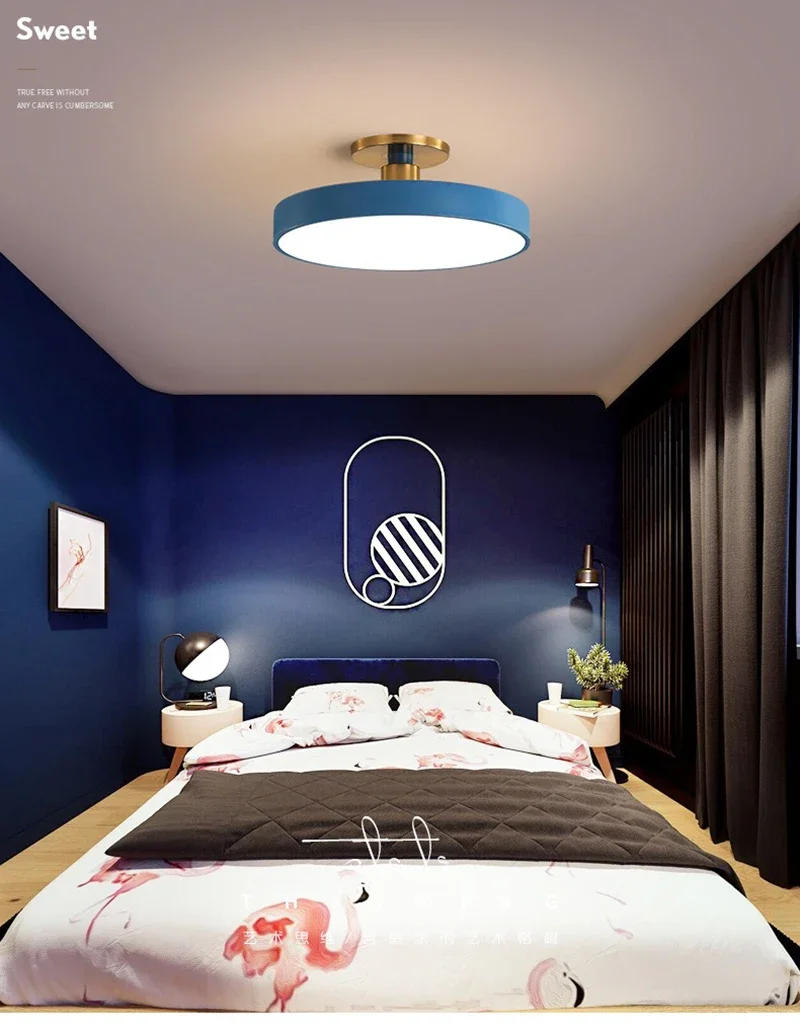 Description Picture 2 of itemCircular Macaron LED Ceiling Light Modern and Simple Remote Dimming Chandelier Bedroom Living Room Indoor Lighting Fixtures