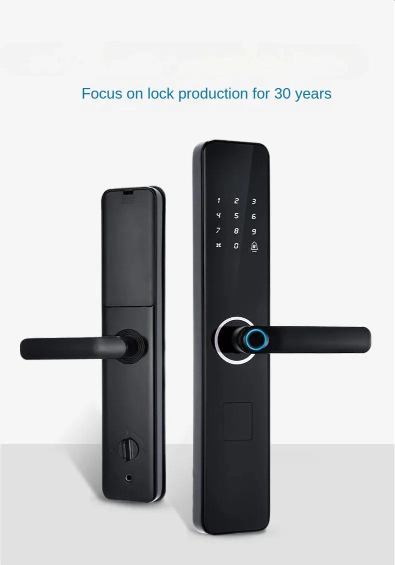 Description Picture 2 of itemEnglish version graffiti fingerprint lock, Tuya smart lock password lock with Body for Renting apartments