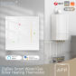 water gas boiler WH