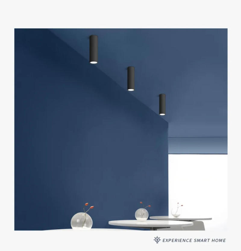 Description Picture 4 of itemLong Barrel LED Down light Spotlight Ceiling light Dimmable COB 12W Surface Mounted Spotlights living Room Bedroom Shop 85-265V