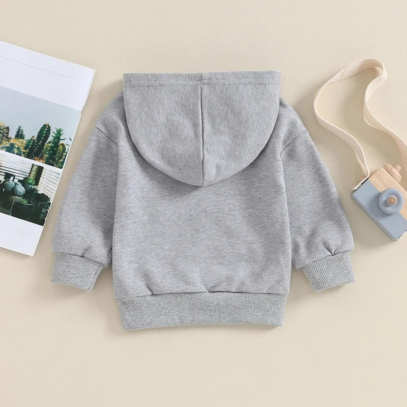 Description Picture 3 of itemToddler Boys Girls Hoodies Kids Clothes Solid Color Long Sleeve Hooded Sweatshirts Spring Fall Pullovers Tops