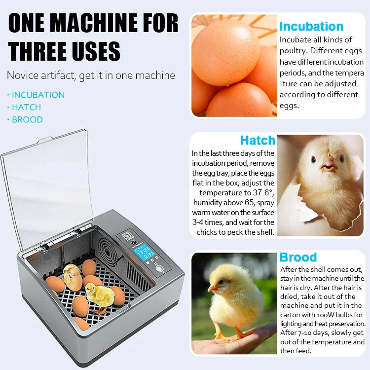 Description Picture 4 of itemAli Top Seller Fully Automatic Multifunctional Smart Home Teaching Experiment Children Small 9-16 Eggs Incubators