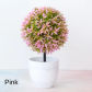 xingxingqiu pink