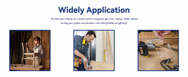 Description Picture 5 of itemWZHUIDA M2 M3 M4 Metric Screw Assortment Hex Socket Head Cap Bolts Stainless Bolts Nuts Washers Kit with 1 Hex Allen Wrenche