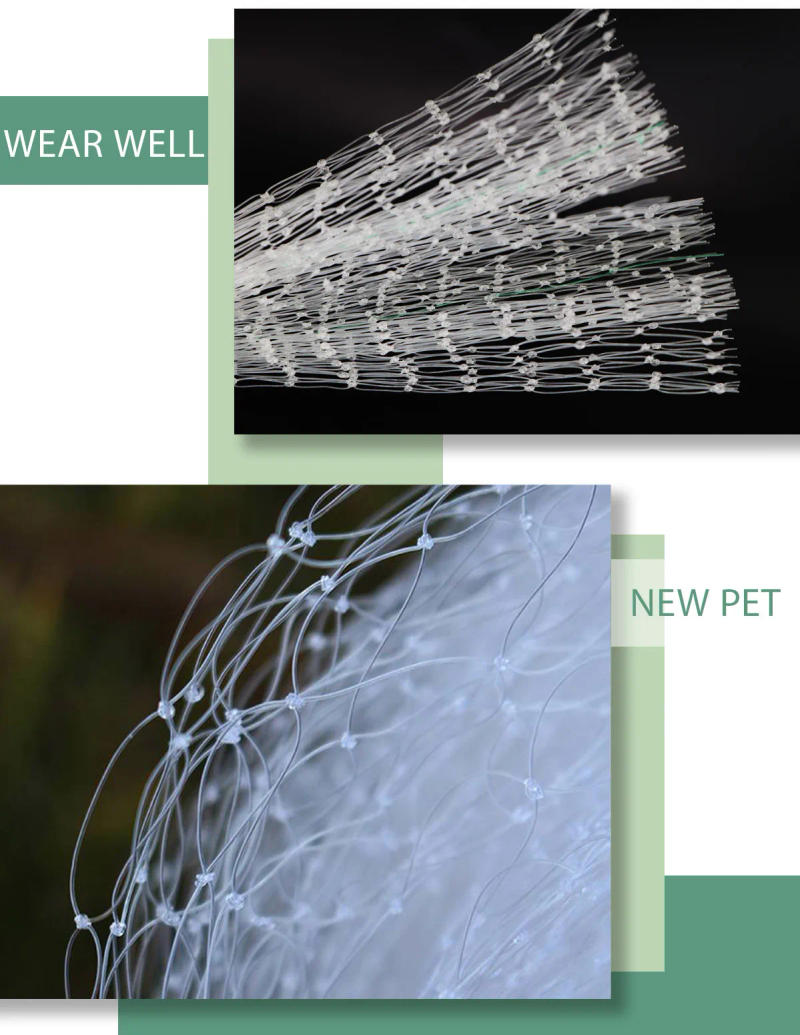 Description Picture 4 of item5x5m Blueberry Garden Fence Netting Anti-Bird Protection Mesh for Fruits & Vegetables Squirrel Prevention Agricultural Use