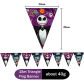Flag 10Pcs