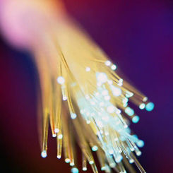 Decorative Clear/Black PVC Sheather Fiber optic cable 50pcs*0.75mm in PE jacket PMMA Plastic Optic string Multi-strands Lighting
