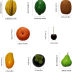 Slide image e8c4cc835eb54d96a62805244b99f84c