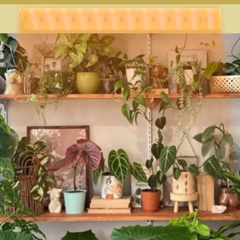 Description Picture 6 of itemUltra-Thin Panel Grow Lights USB Full Spectrum Grow Lights with Timer LED Phyto Lamp Dimmable for Indoor Plants