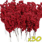 30 Branches
