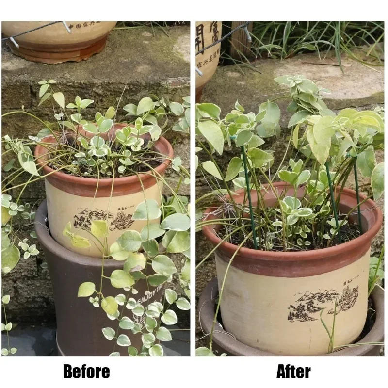 Description Picture 6 of item10/1pcs Plastic Plant Supports Sticks Flower Stand Reusable Protection Fixed Tools Gardening Supplies Vegetable Holder Bracket