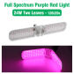 24W Full spectrum