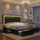 Pu Black