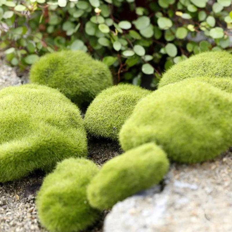 Description Picture 6 of itemFake Stone Artificial Moss Rocks Home Decor Micro Landscape Simulation Plant DIY Decoration for Garden and Crafting Home Decor