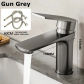 Gun Gray B